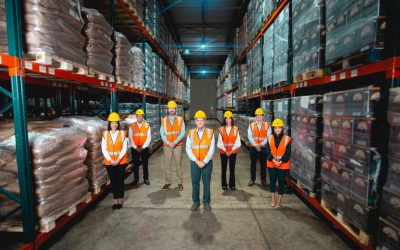 MARÍTIMA DOMINICANA – Una Trayectoria de más 50 Años de Excelencia